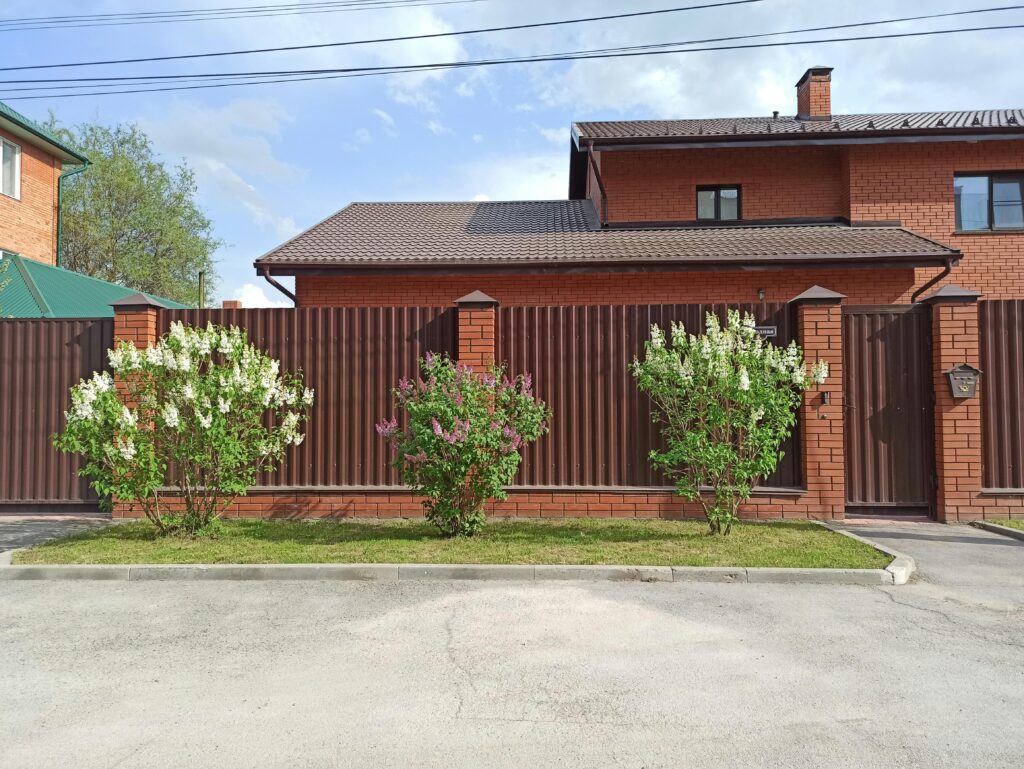 fence in yard